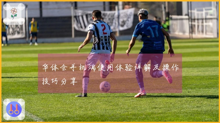 华体会手机端使用体验详解及操作技巧分享